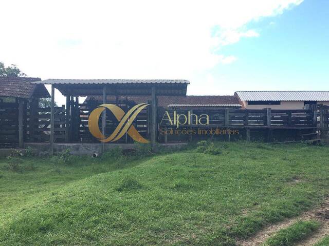 Fazenda para Venda em Araruama - 5