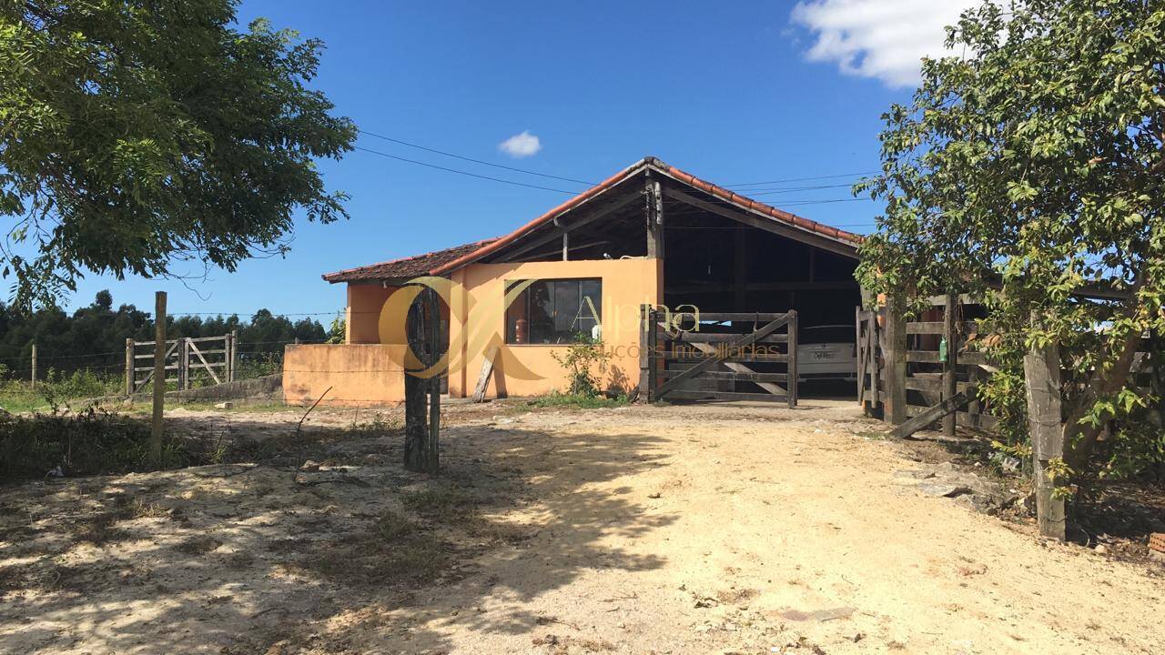 Terreno, 250 hectares - Foto 3