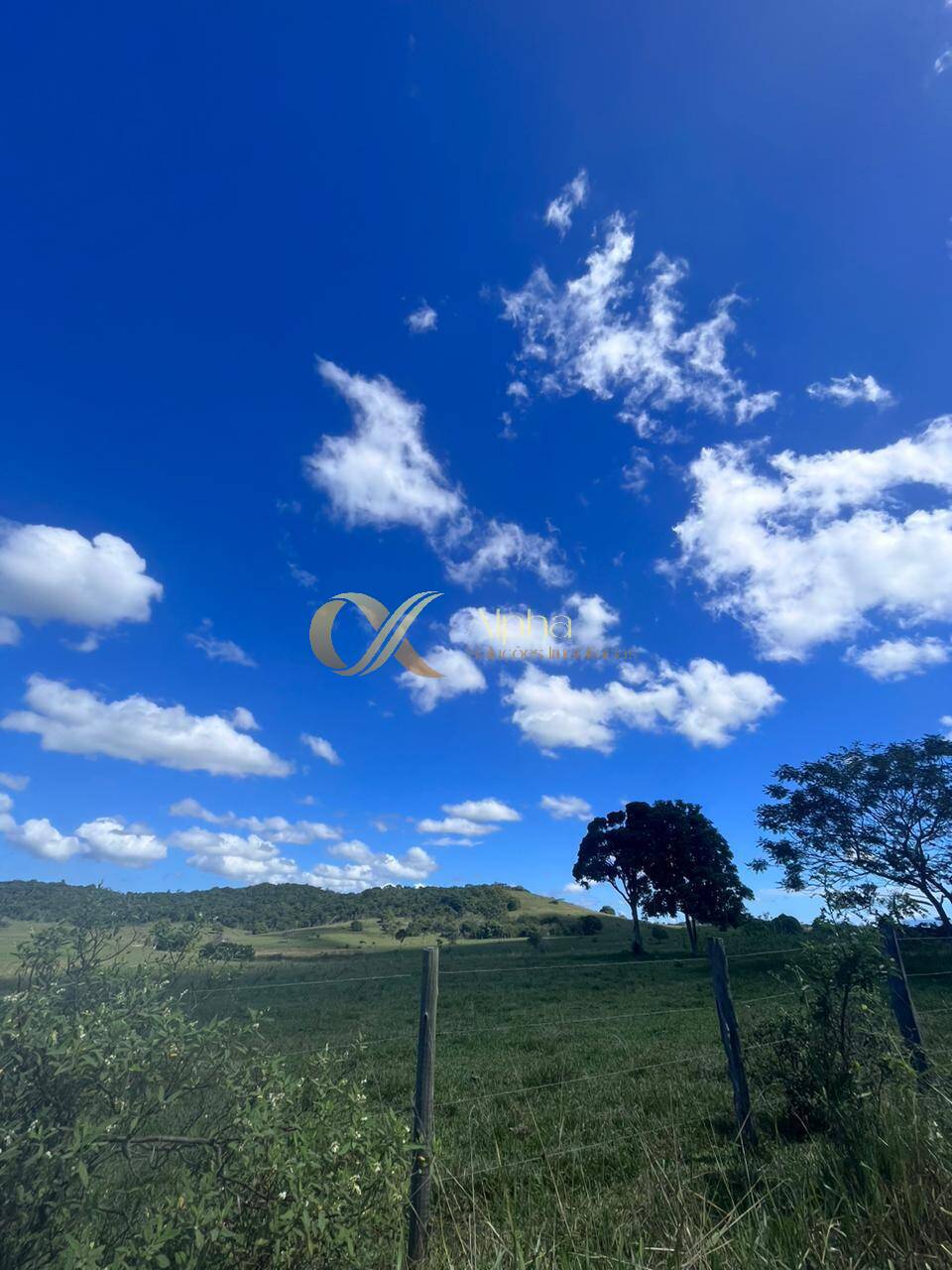 Terreno, 250 hectares - Foto 9