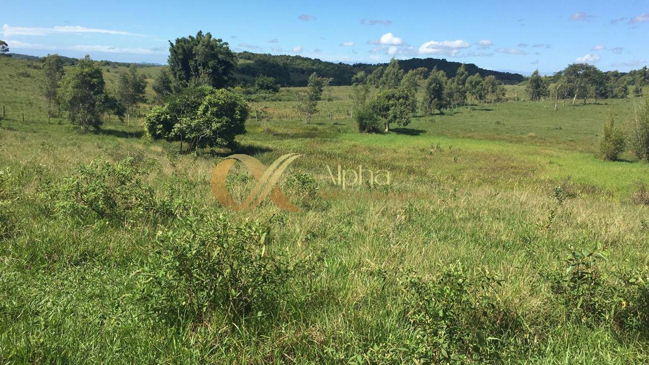 Terreno, 250 hectares - Foto 11