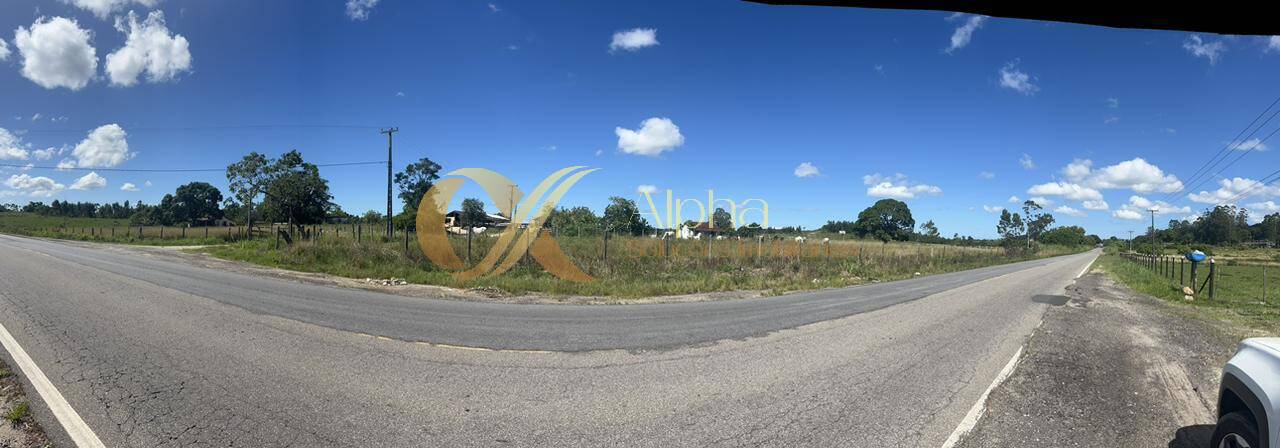 Terreno, 250 hectares - Foto 12