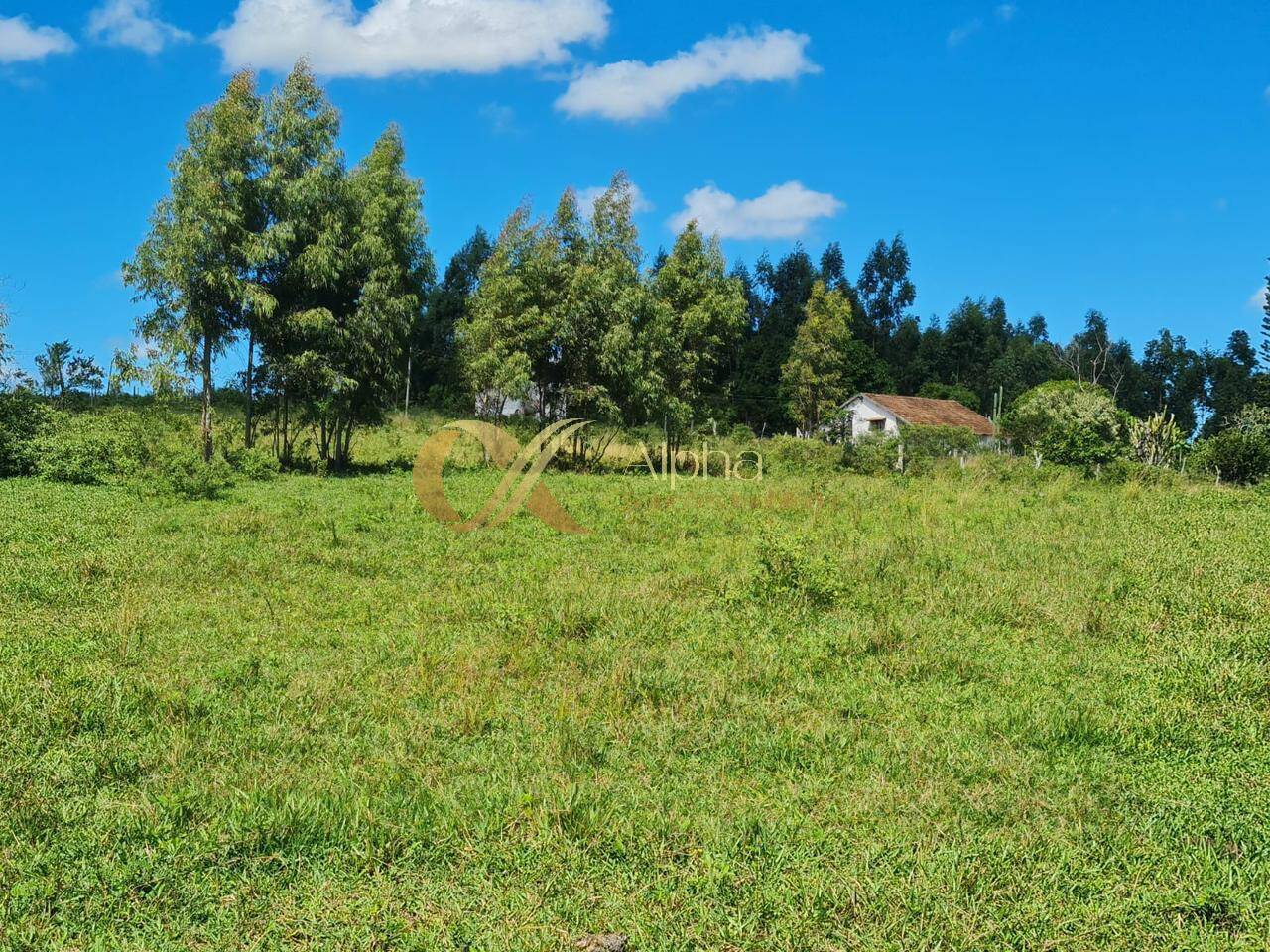 Terreno, 250 hectares - Foto 15