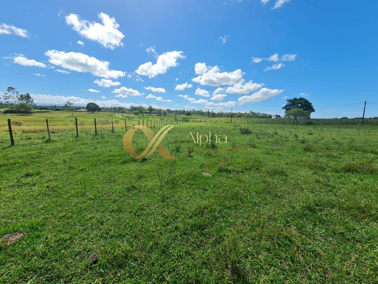 Terreno, 250 hectares - Foto 16