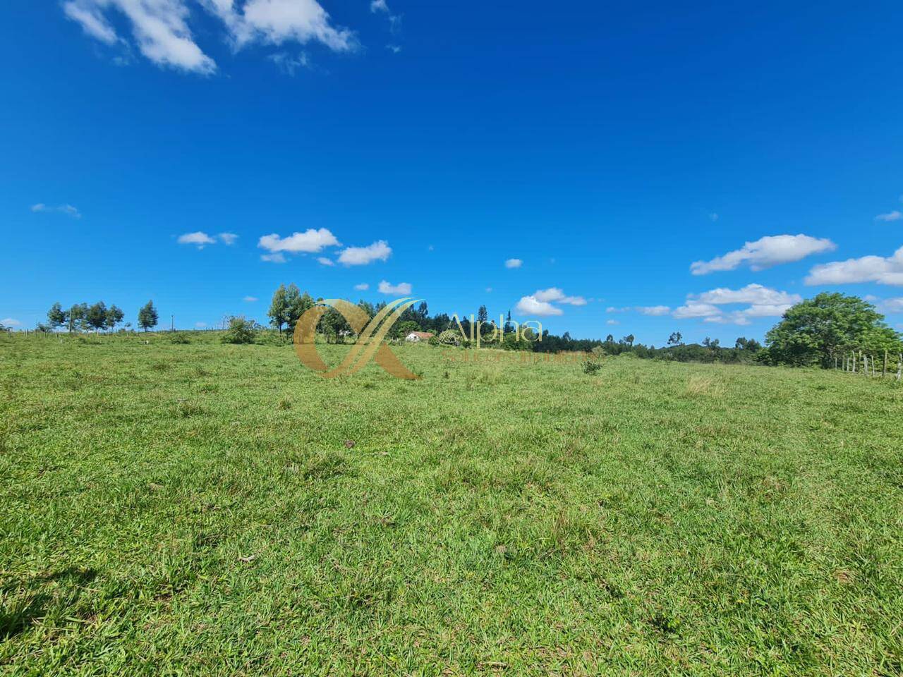 Terreno, 250 hectares - Foto 17