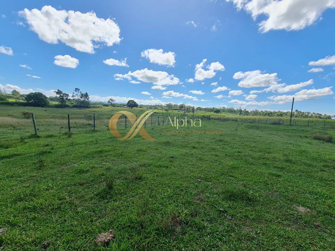 Terreno, 250 hectares - Foto 18