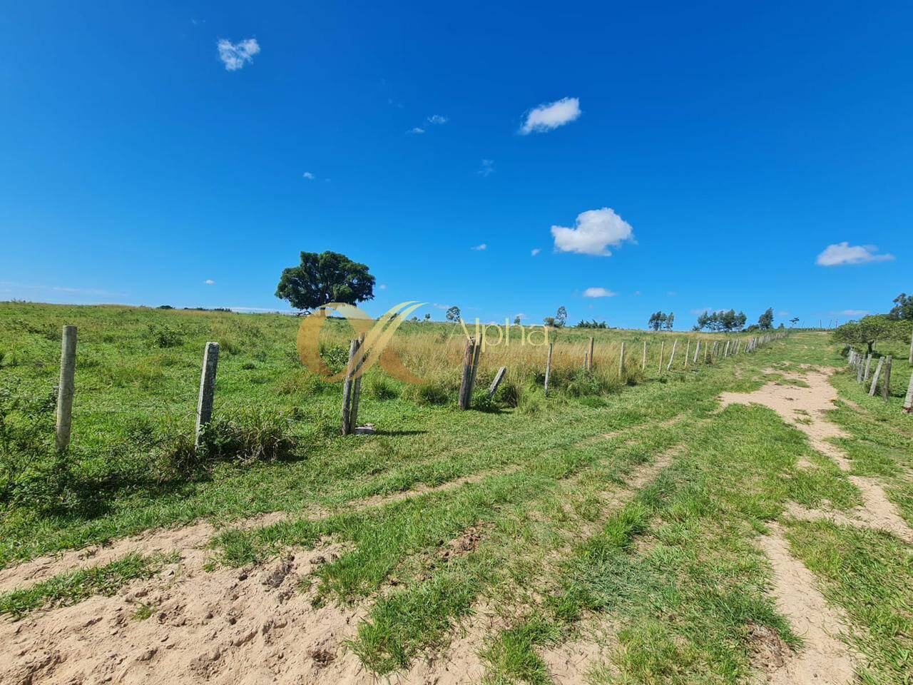 Terreno, 250 hectares - Foto 21