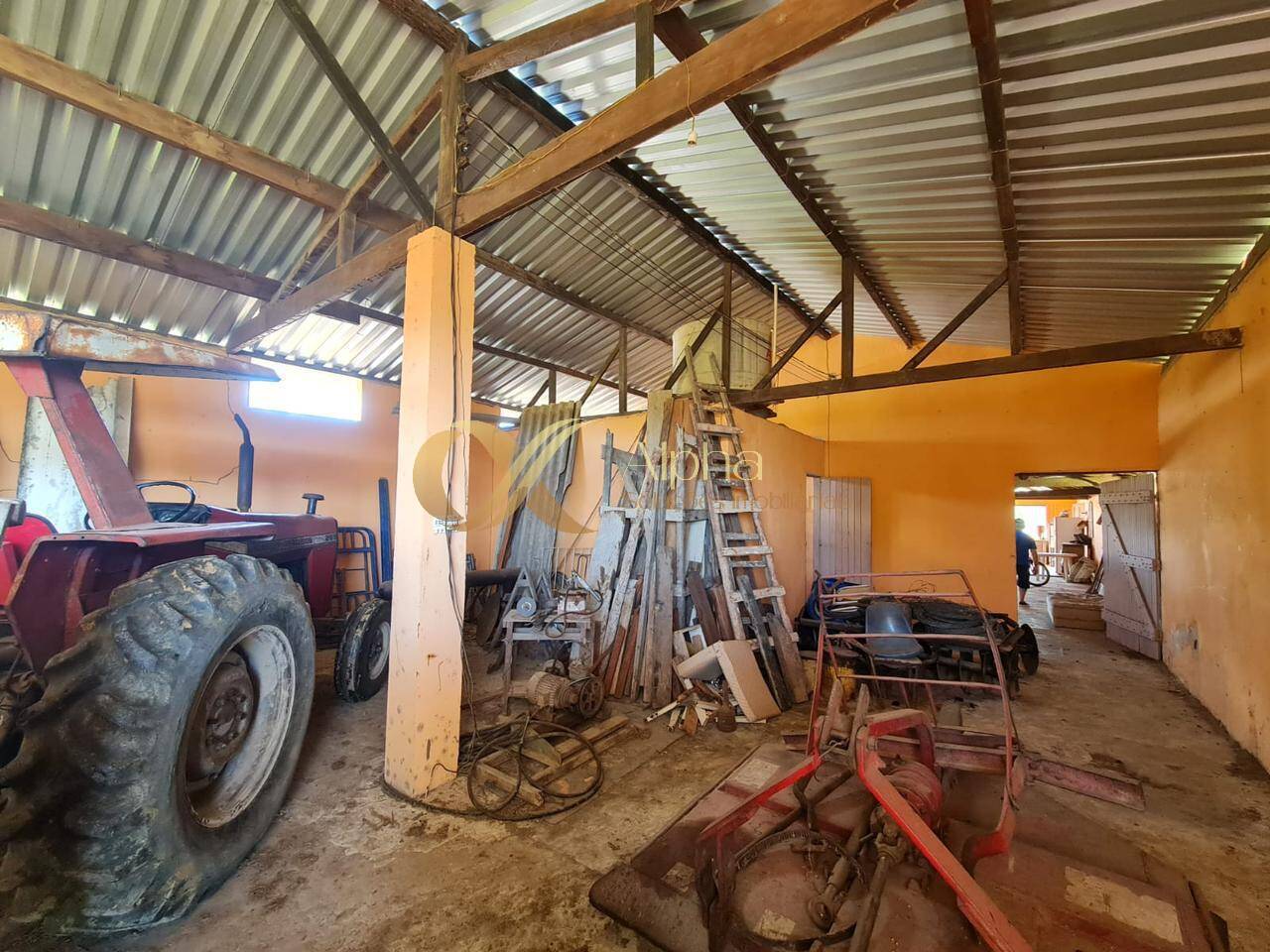 Terreno, 250 hectares - Foto 22