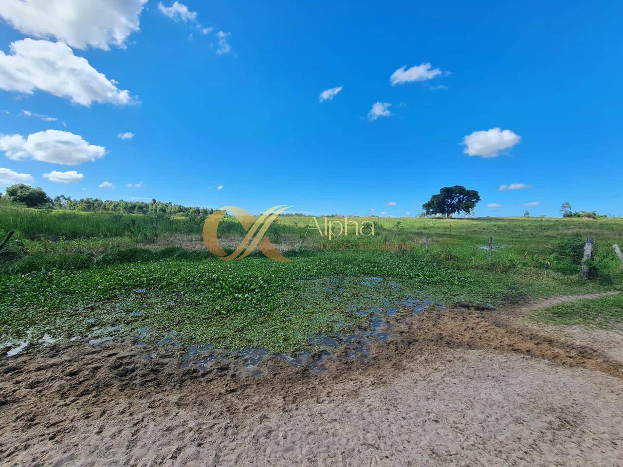 Terreno, 250 hectares - Foto 29