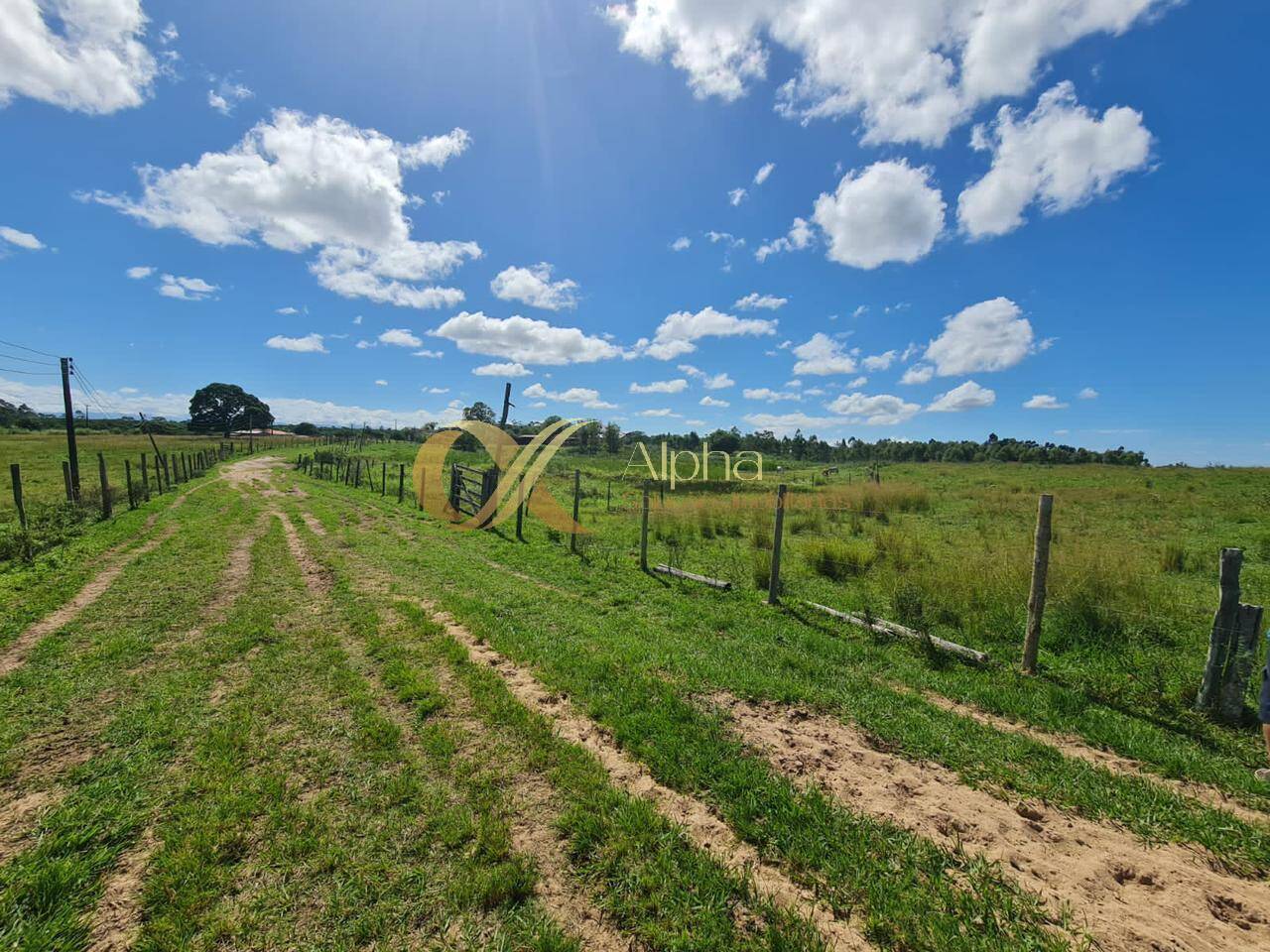 Terreno, 250 hectares - Foto 31