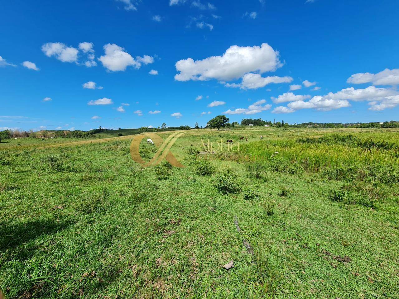 Terreno, 250 hectares - Foto 35