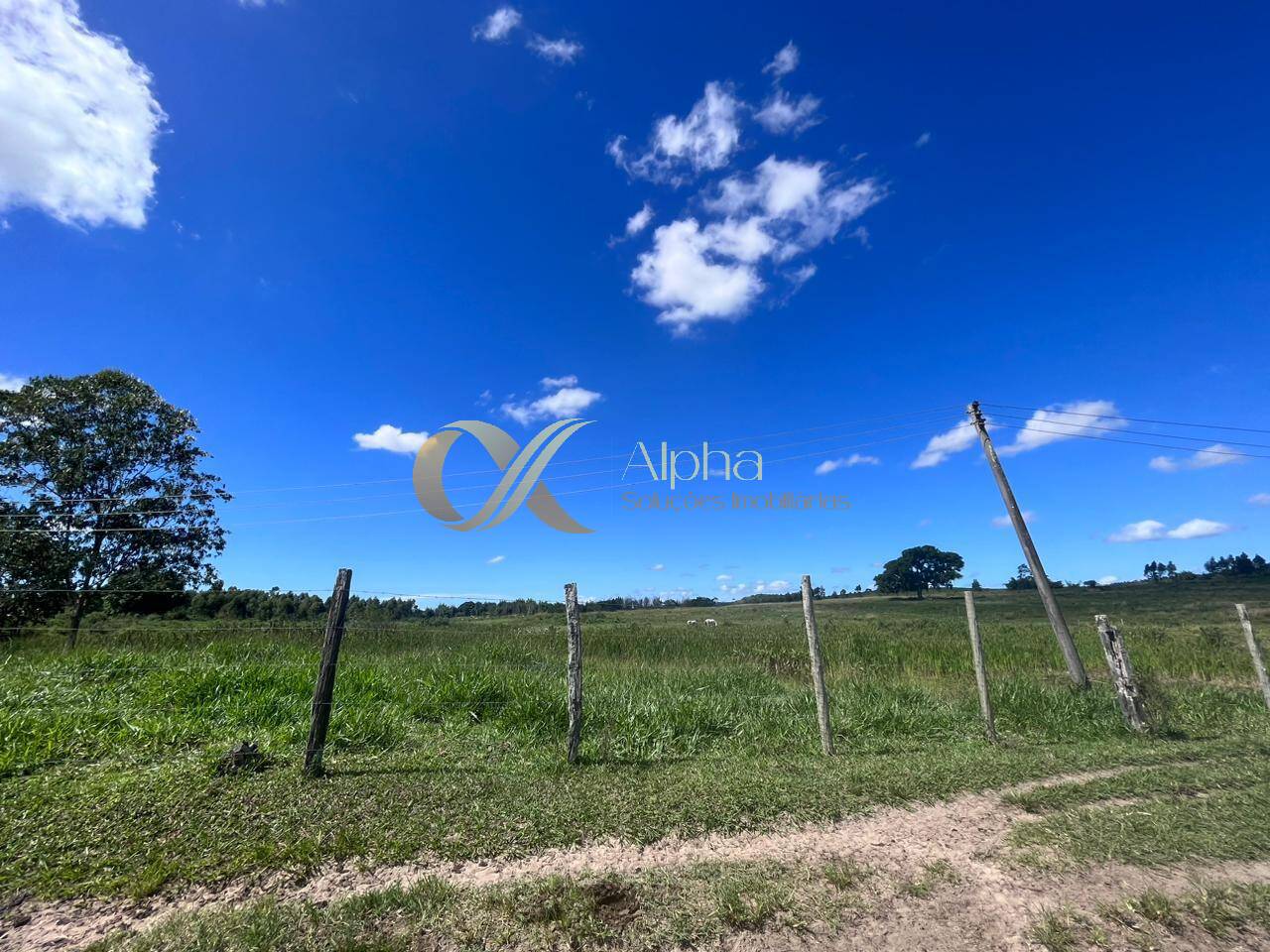 Terreno, 250 hectares - Foto 37