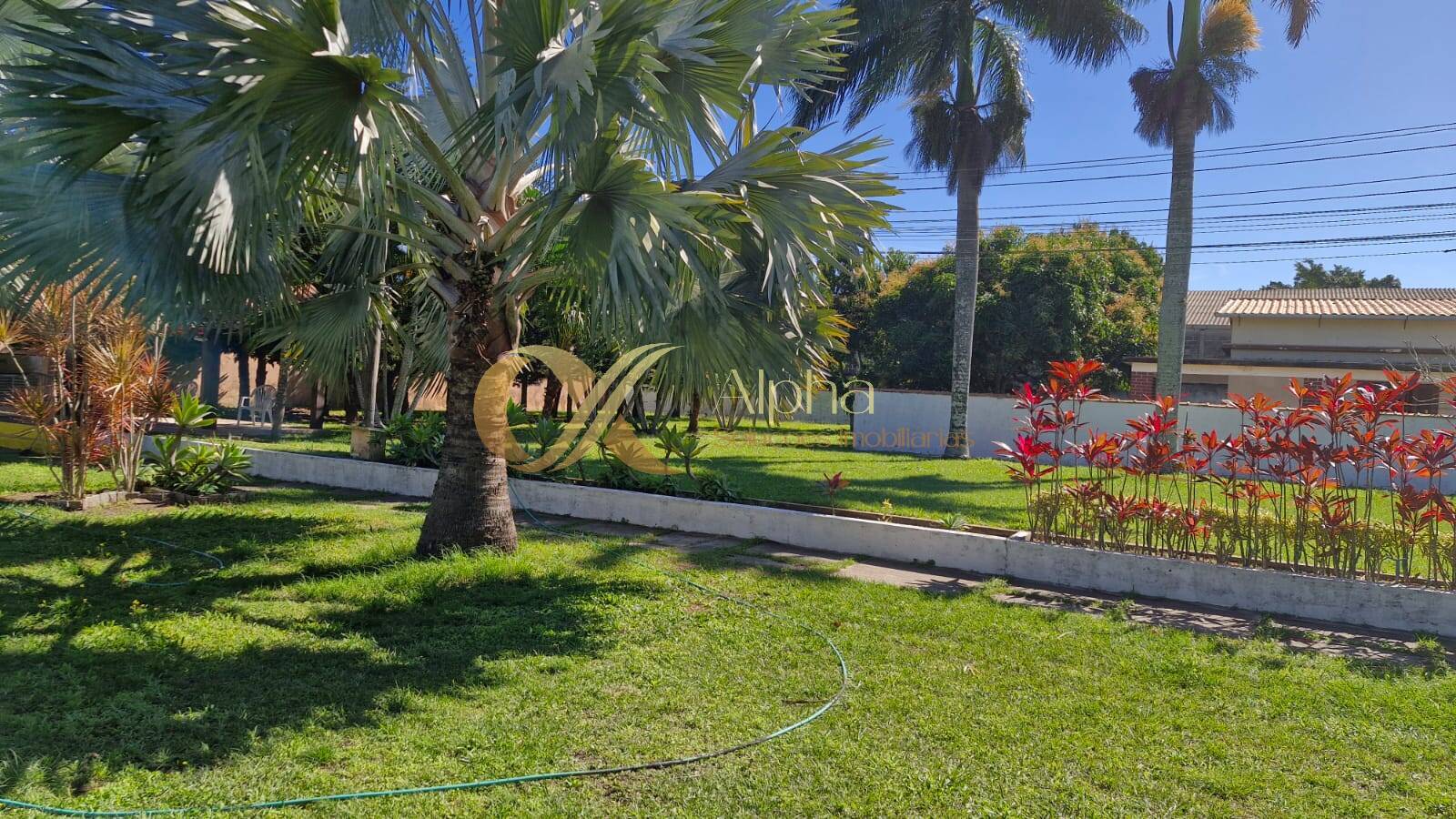Sítio à venda com 7 quartos, 150m² - Foto 31