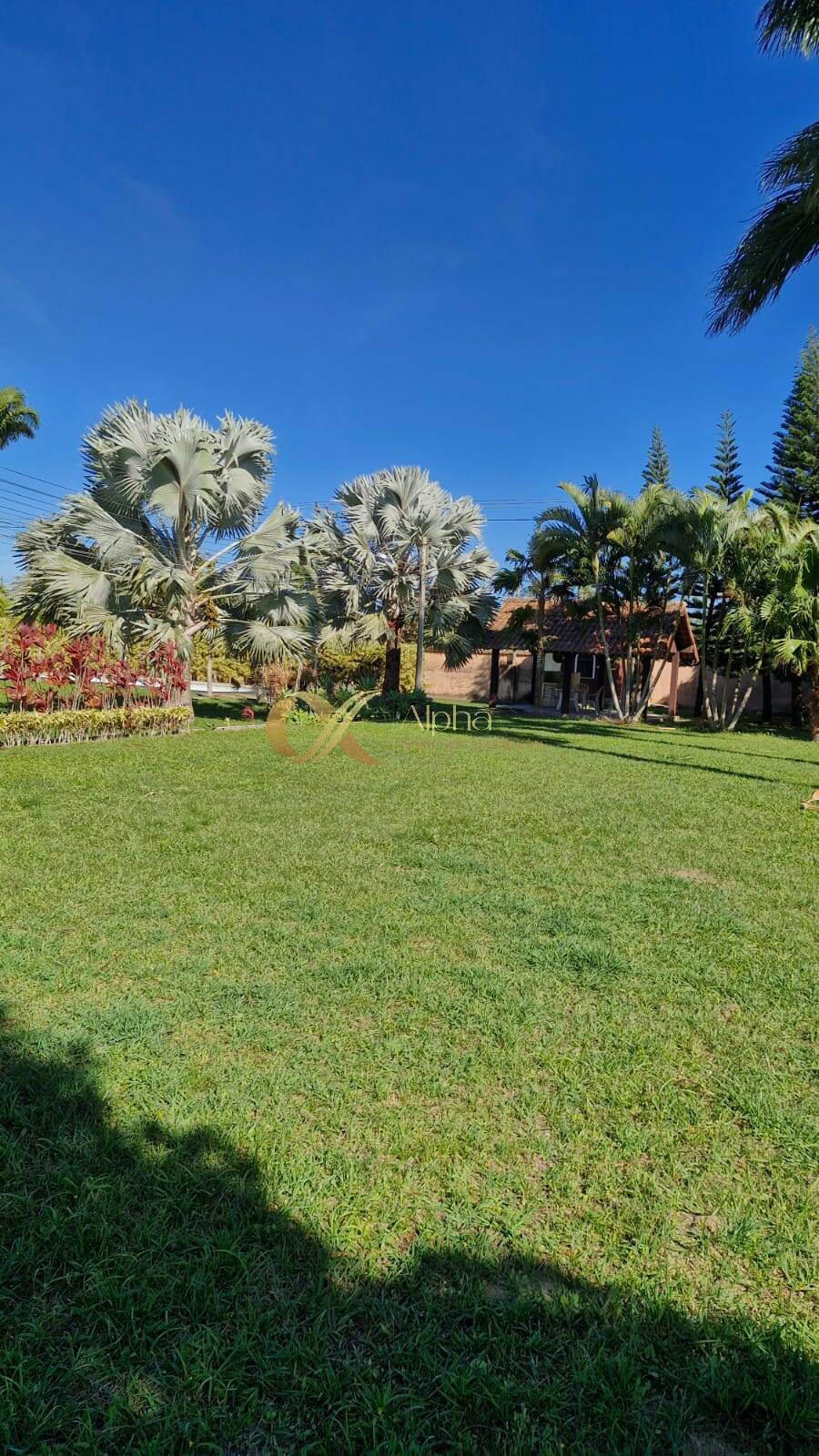 Sítio à venda com 7 quartos, 150m² - Foto 33