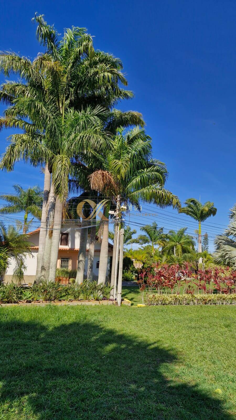 Sítio à venda com 7 quartos, 150m² - Foto 34