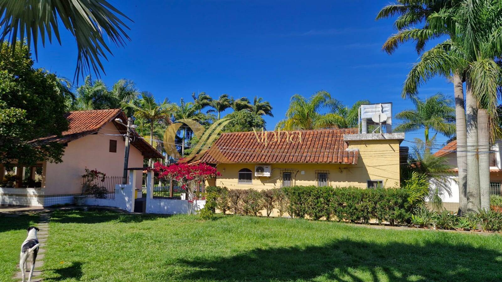 Sítio à venda com 7 quartos, 150m² - Foto 36