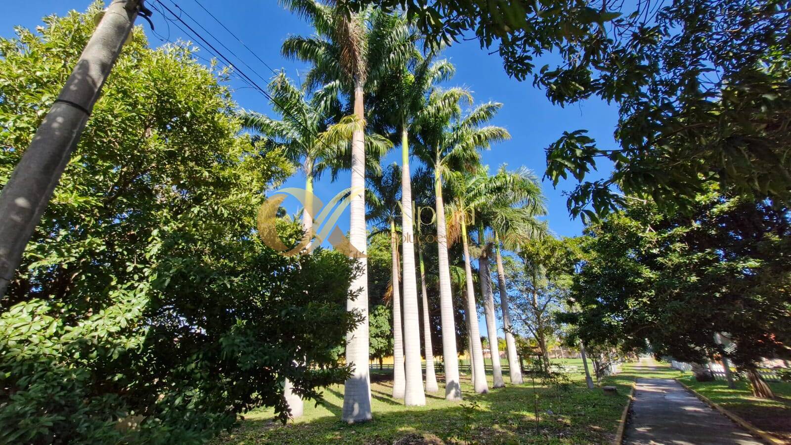 Sítio à venda com 7 quartos, 150m² - Foto 40