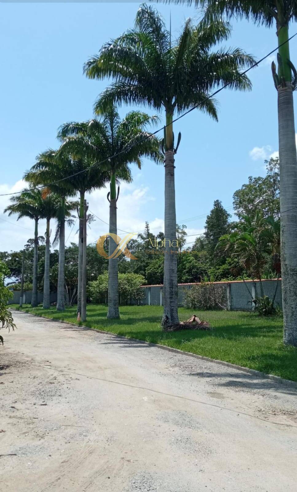 Terreno, 524 m² - Foto 2