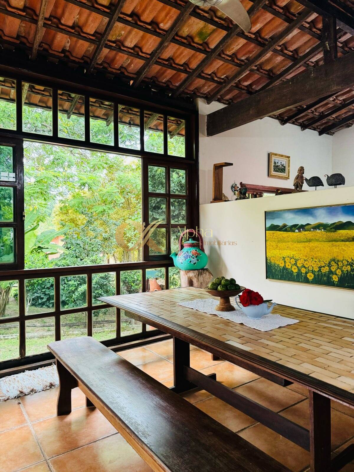 Sítio à venda com 6 quartos, 50000m² - Foto 4