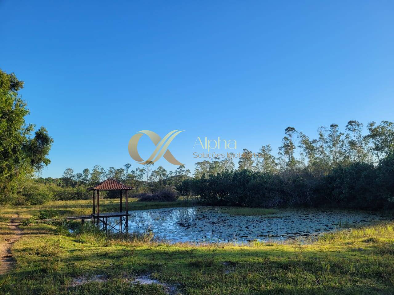 Sítio à venda com 6 quartos, 50000m² - Foto 11