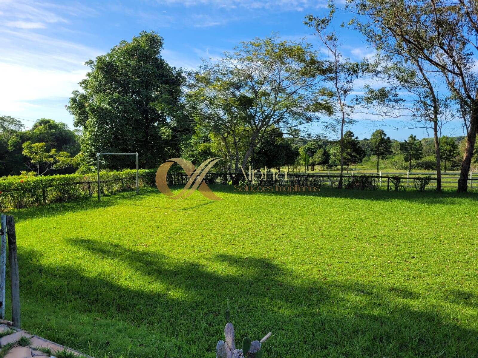 Sítio à venda com 6 quartos, 50000m² - Foto 19
