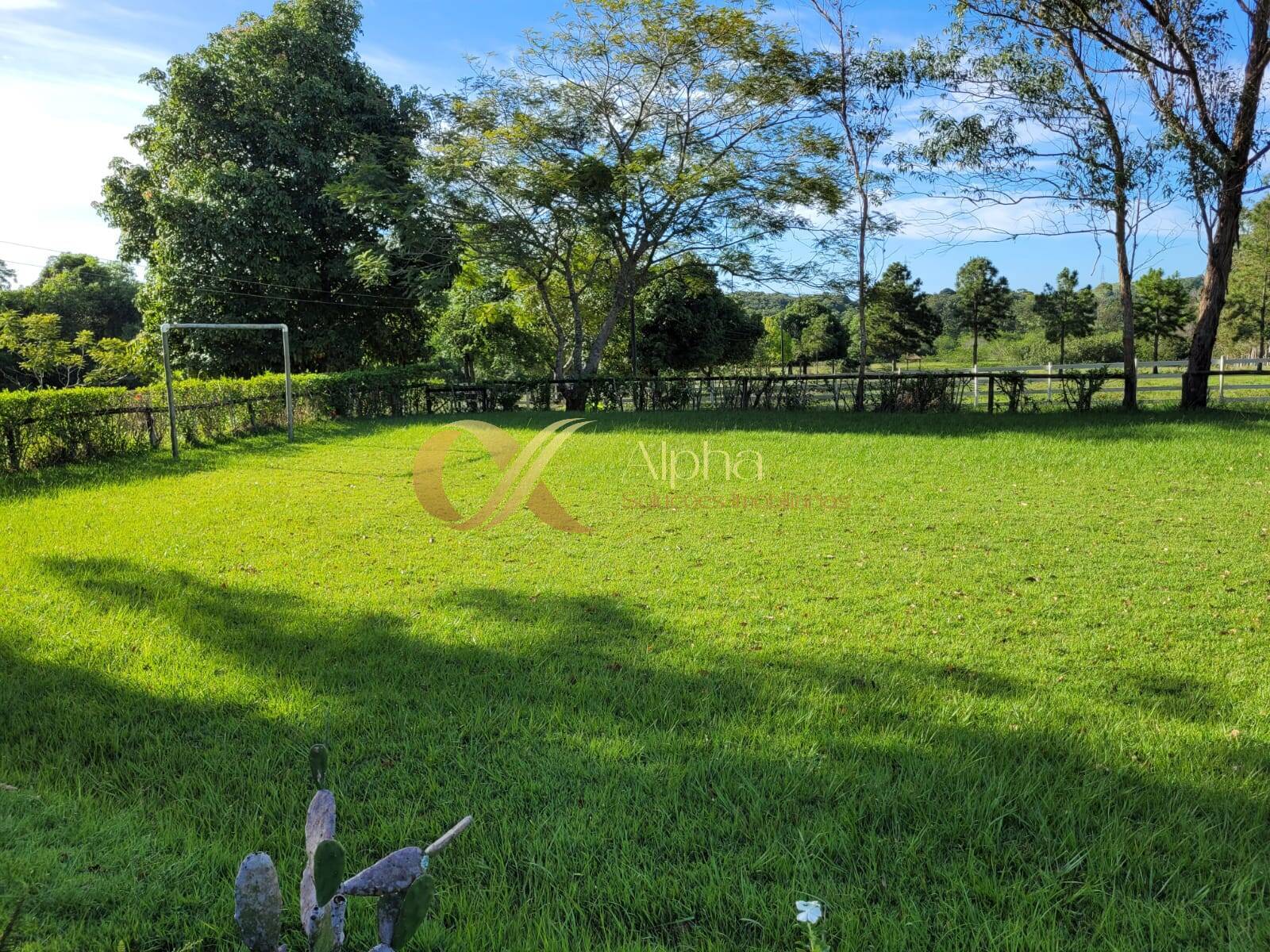 Sítio à venda com 6 quartos, 50000m² - Foto 21