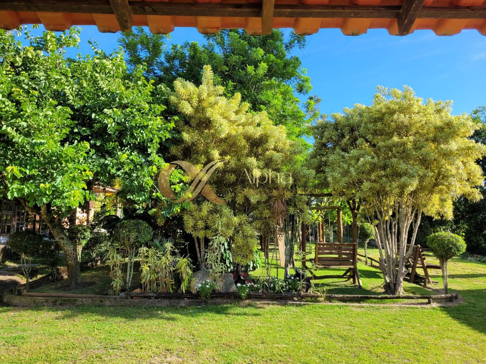 Sítio à venda com 6 quartos, 50000m² - Foto 22