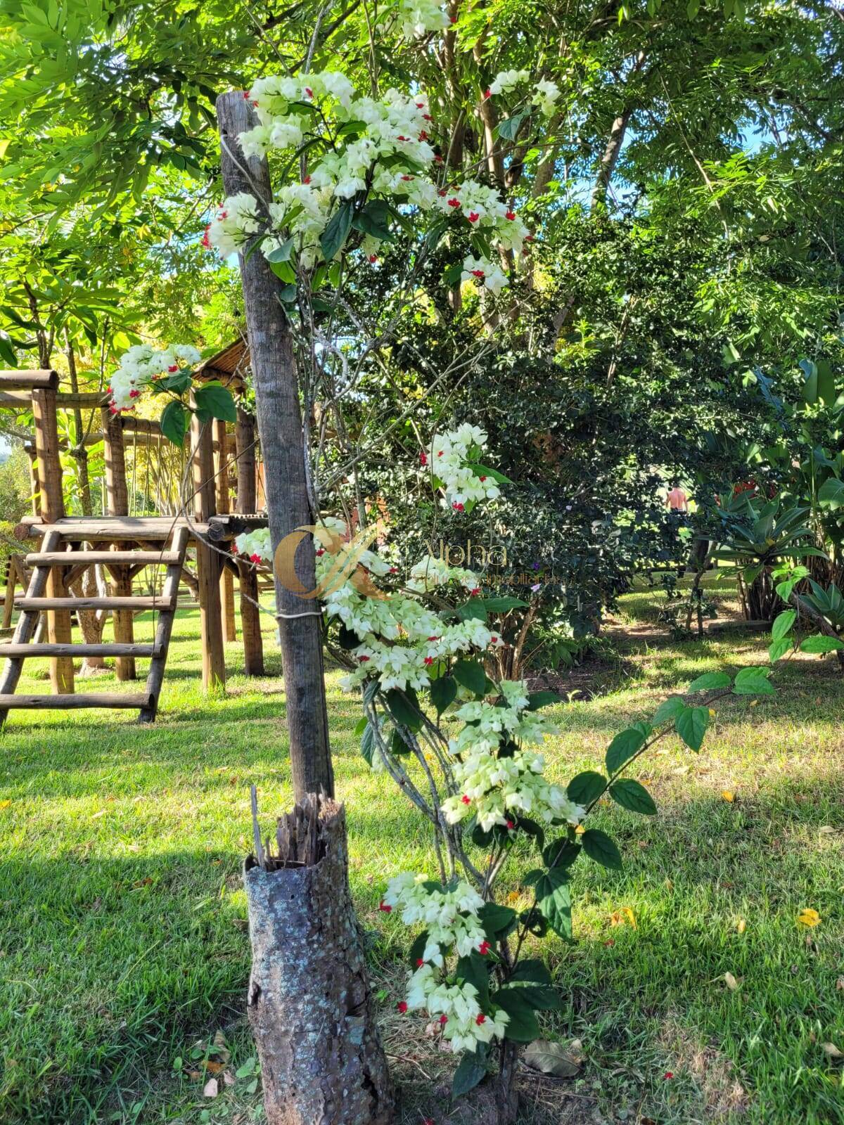 Sítio à venda com 6 quartos, 50000m² - Foto 25