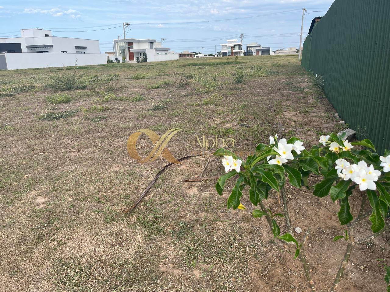 Terreno, 388 m² - Foto 4